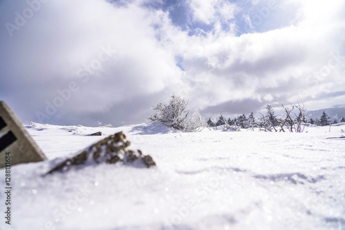 幻想的な雪景色と静寂な冬の自然

