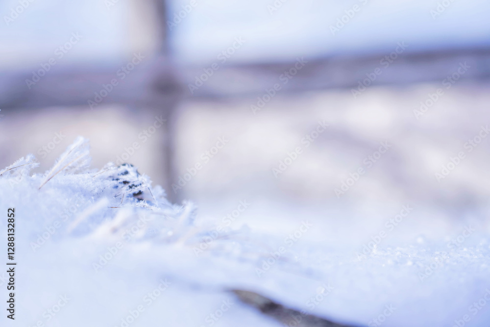 幻想的な雪景色と静寂な冬の自然