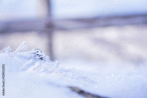 Obraz na płótnie 幻想的な雪景色と静寂な冬の自然
w salonie
