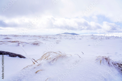 幻想的な雪景色と静寂な冬の自然
