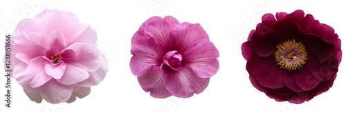 Three surreal exotic high-quality gold flowers are macro isolated on a white background, suitable for greeting card objects on anniversary, wedding, mothers', and women's day designs