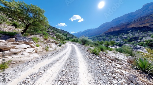 Wide angle nature photography bright valley journey