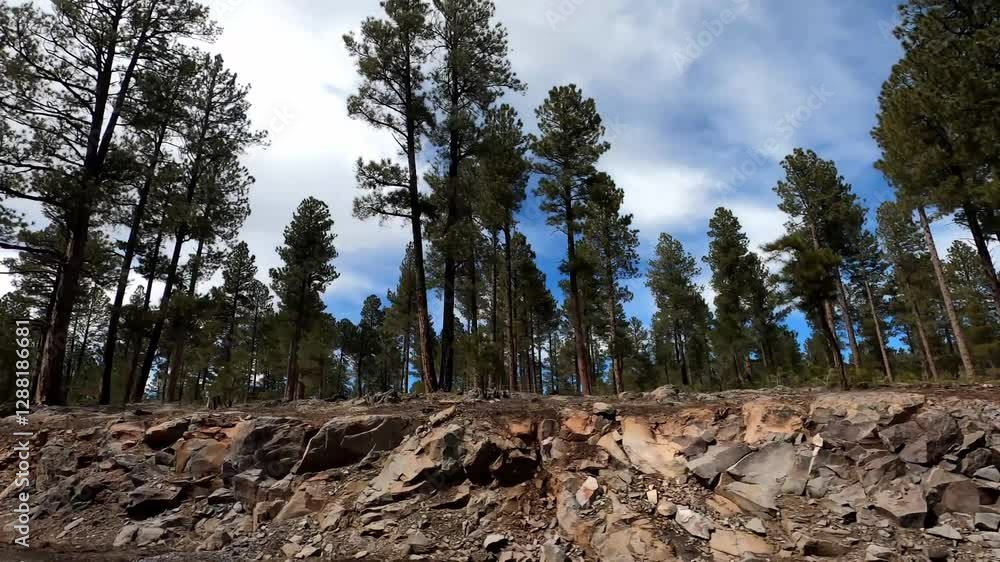 Arizona Driving 0937 Flagstaff desert city Arizona Driving 0937 Flagstaff desert city