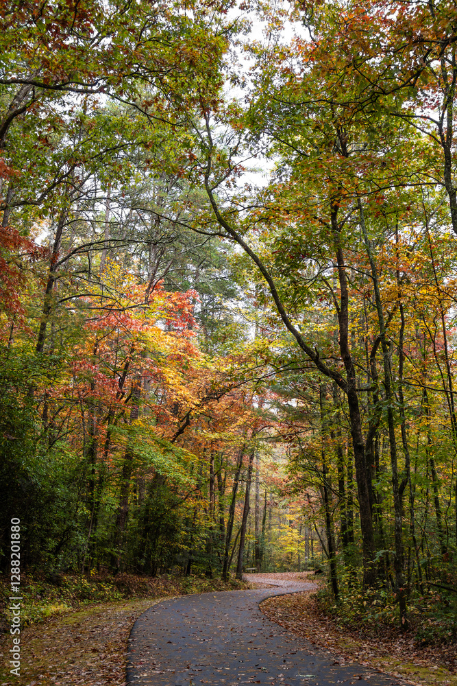 Fototapeta premium Fall scenery along the trails in Smithgall-Woods State Park, near Helen Georgia