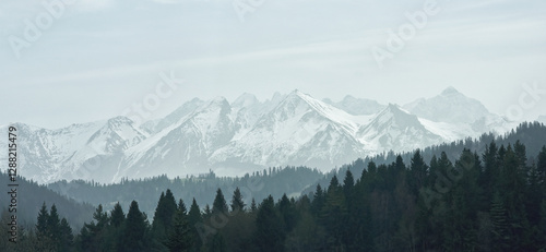 Fototapeta Naklejka Na Ścianę i Meble -  Panorama of the distant and misty High Tatras mountains on a cloudy spring evening.