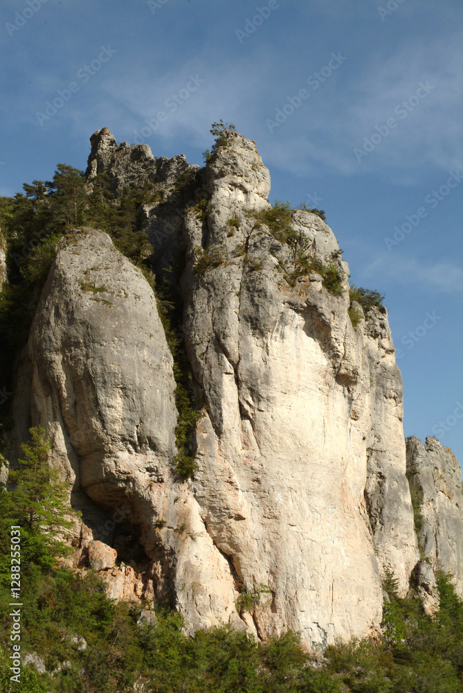 Gorges du Tarn, Parc naturel régional des grands causses, 48, Lozère, Région Languedoc-Roussillon, France Gorges du Tarn, Parc naturel régional des grands causses, 48, Lozère, Région Languedoc-Roussillon, France
