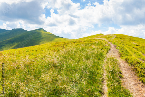 Obraz na płótnie path up the steep hill. travel background with carpathian mountain landscape in summer. grassy alpine scenery of ukraine on a sunny day with clouds on the blue sky. concept of motivation for success w salonie
