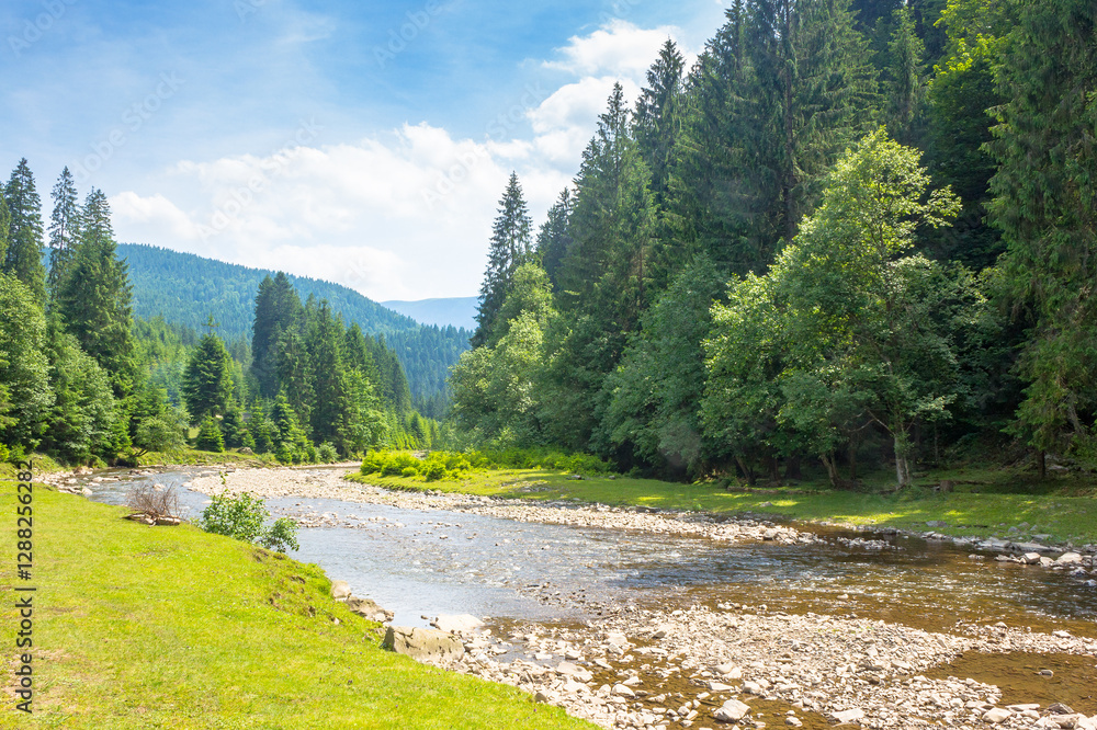 mountainous landscape of ukraine with tereblya river. forest on the hill along the grassy shore. scenery beneath blue sky with clouds on a sunny day in summer. peaceful tourism in natural environment