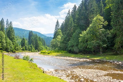 Obraz na płótnie mountainous landscape of ukraine with tereblya river. forest on the hill along the grassy shore. scenery beneath blue sky with clouds on a sunny day in summer. peaceful tourism in natural environment w salonie