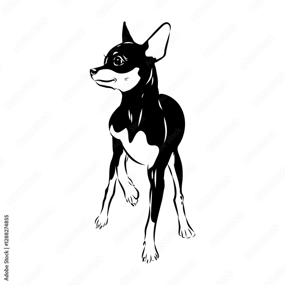 English toy terrier, vector sketch English toy terrier detailed drawn dog. English toy terrier, vector sketch English toy terrier detailed drawn dog.