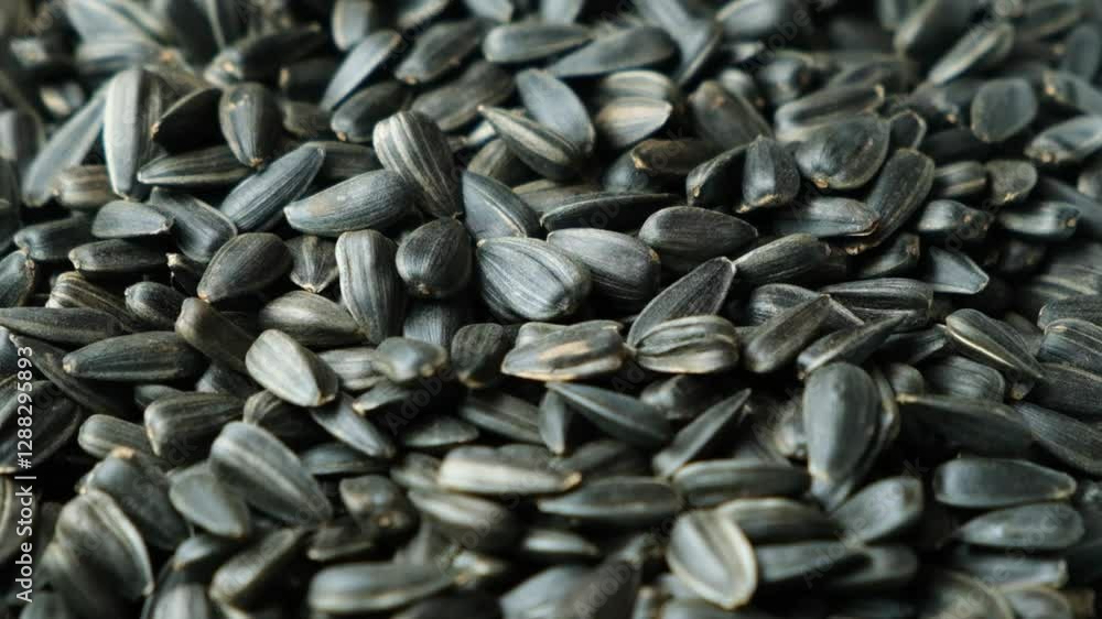 Heap of Roasted Sunflower Seeds Pour Slow Motion Heap of Roasted Sunflower Seeds Pour Slow Motion