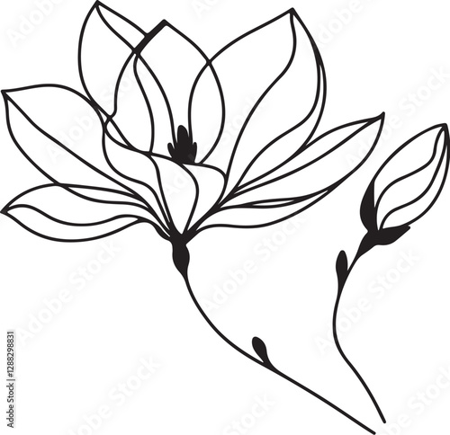 Continuous one line art illustration of magnolia flowers