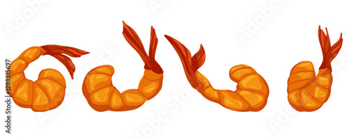 Shrimp prawn vector icon set. Fried shrimp illustration on white background. Delicious isolated shrimps without shell, shrimp meat. Group of objects for print, sticker, logotype