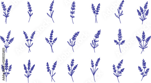 lavender icon in different style vector illustration. two colored and black lavender vector icons designed in filled, outline, line and stroke style can be used for web, mobile, ui