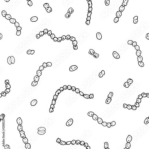 Seamless vector pattern of hand drawn streptococci and diplococci in black and white. Ideal for medical, biology and microbiology designs illustrating infection, immunity and disease control concepts
