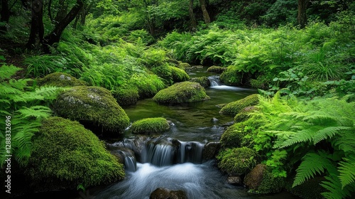 A hidden nature spot in Japan, where a cool brook winds through a thick carpet of vibrant ferns and moss.