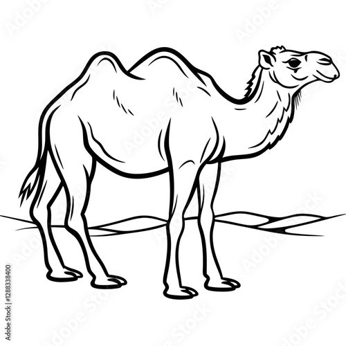 camel