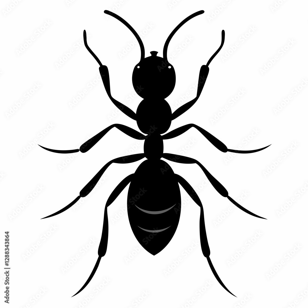 Intricate Ant Silhouette in Black Vector, Crisp White Background Intricate Ant Silhouette in Black Vector, Crisp White Background