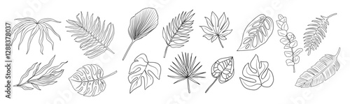 Line art tropical leaves set. Outlined vintage botanical vector illustrations of palm, monstera, banana leaves. Trendy greenery elements for logo, tattoo, packaging, wedding invitations, stickers. 