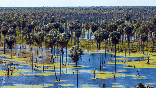 Canvastavla Dron en el bañado la Estrella, Formosa, Argentina