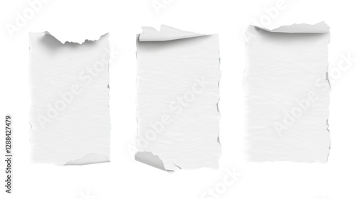 Wallpaper Mural Torn edges blank paper with transparent background png for use in graphic design Torontodigital.ca
