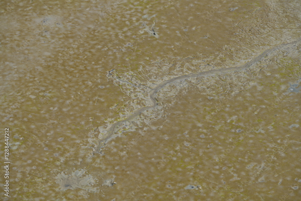 When the sea level recedes, the mud can be seen with strange patterns for the background image. When the sea level recedes, the mud can be seen with strange patterns for the background image.