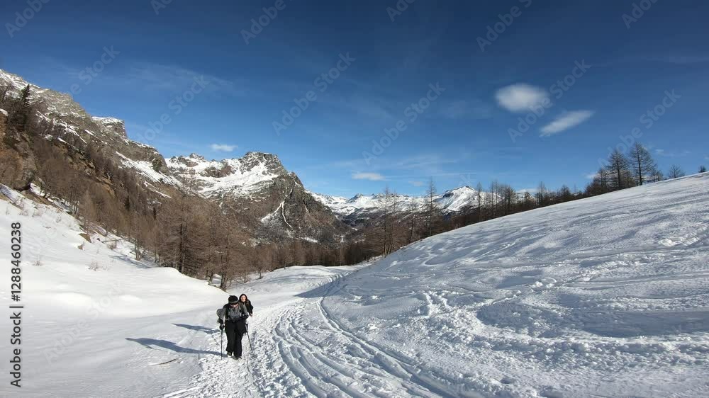A lone explorer strides across a vast, untouched snowfield, their path winding towards the distant, rugged peaks beneath a brilliant blue sky. A lone explorer strides across a vast, untouched snowfield, their path winding towards the distant, rugged peaks beneath a brilliant blue sky.