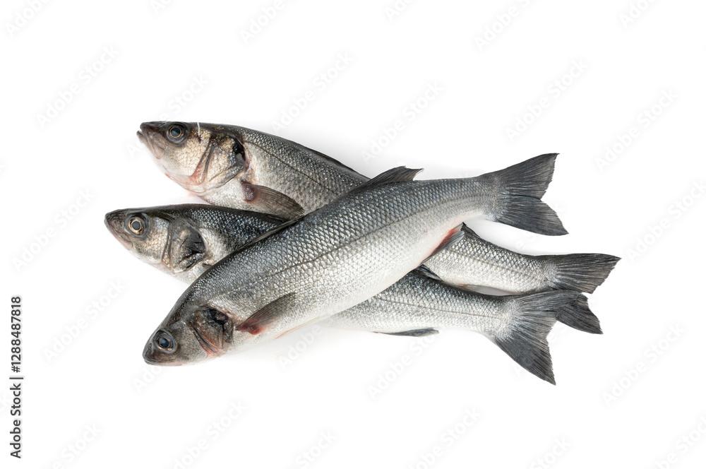 European seabass or Dicentrarchus labrax, whole raw labrax, branzino fish, European bass European seabass or Dicentrarchus labrax, whole raw labrax, branzino fish, European bass