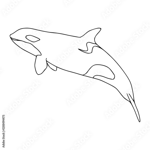 vector illustration of an orca in outline style for coloring pages