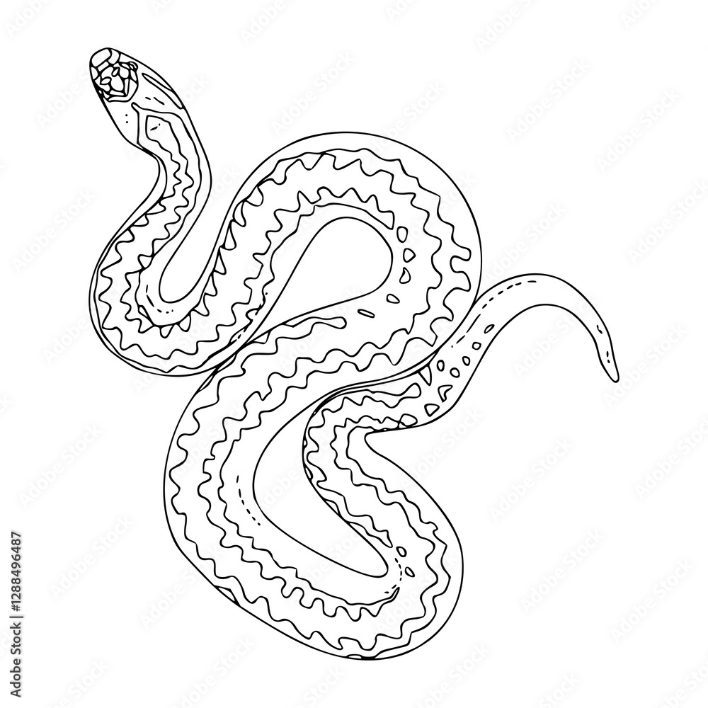 Obraz premium patterned python snake vector artwork