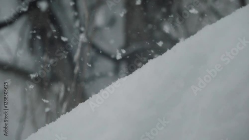 スーパースロー映像：大雪が降る自然の風景