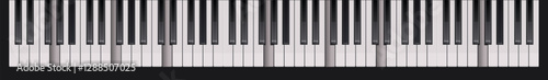 Piano keys in vector illustration