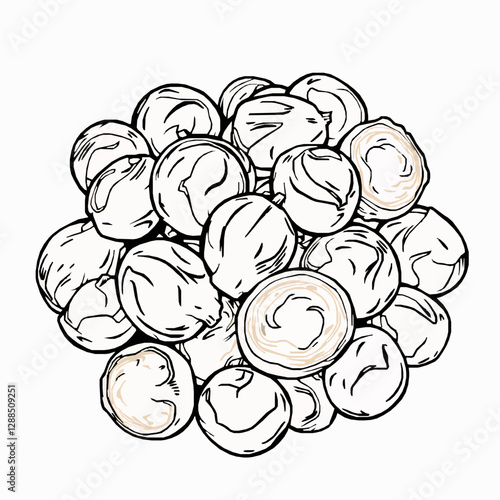 Caramelized Roasted Brussels Sprouts with Garlic A Savory and Crispy Dish Black Outline Vector Illustration
