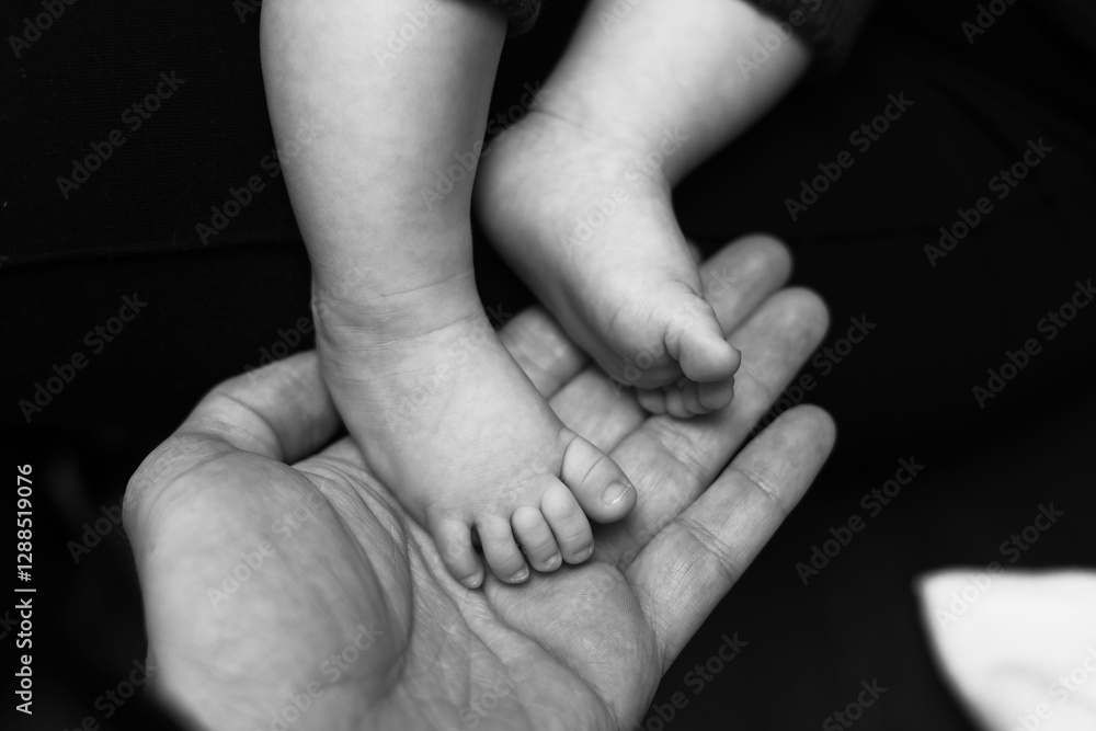 baby's legs little baby in parent's arms baby's legs little baby in parent's arms