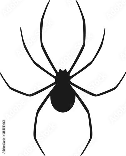 spider on a white background