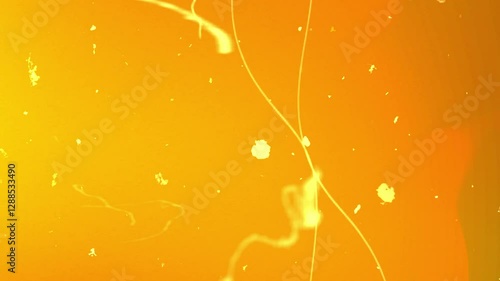 Film burn overlay transitions, light leaks