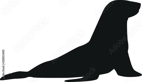 Black sea line arctic animal