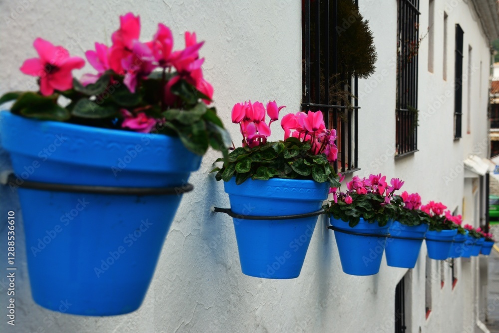 Naklejka premium kwiaty w niebieskich donicach