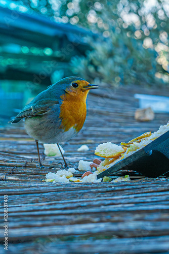 Petirrojo europeo sobre una superficie de madera