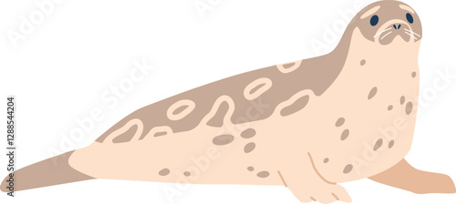 Cartoon arctic walrus vector illustration
