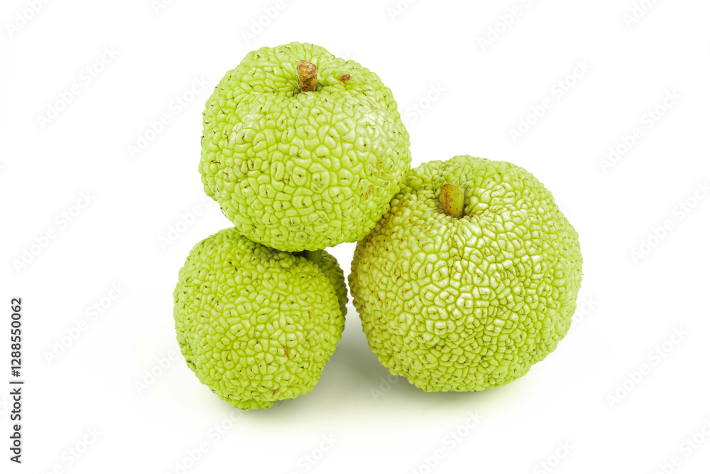 Maclura Orange exotic fruit on white background Maclura Orange exotic fruit on white background