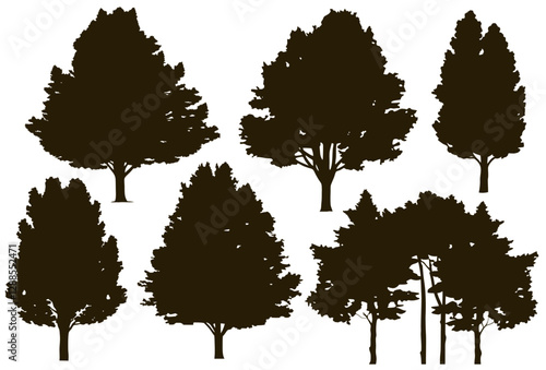 Silhouettes of linden trees in different shapes, perfect for nature illustrations or architectural designs. Their simple forms create peaceful and natural atmosphere for outdoor and landscape projects