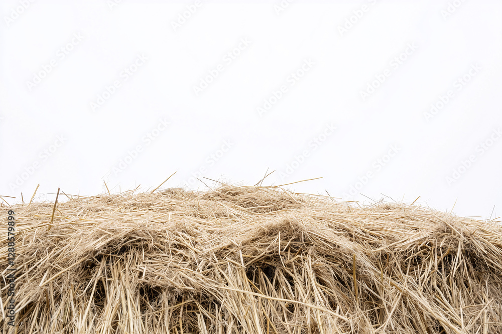 Golden Hay Bale: A close-up view showcases the texture and golden hues of a hay bale, creating a sense of rustic charm. Golden Hay Bale: A close-up view showcases the texture and golden hues of a hay bale, creating a sense of rustic charm.