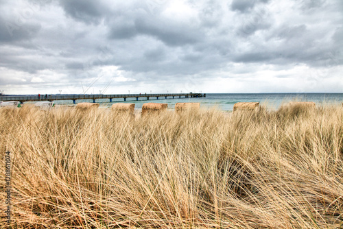 Fototapeta Naklejka Na Ścianę i Meble -  A beach with a pier on Baltic Sea in Germany. The water is blue. yellow grass in the foreground, behind it you can see the gazebos