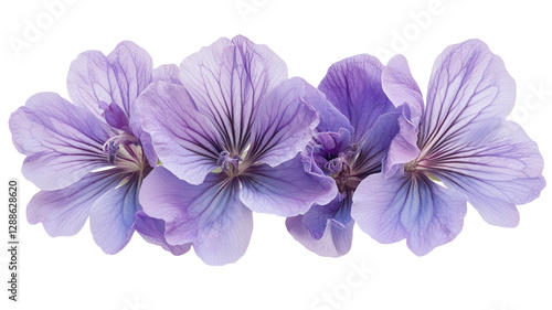 Beautiful lavender flowers with detailed petals arranged in a natural setting during daylight