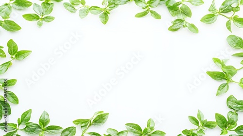 Wallpaper Mural Green Leaves Frame on White Background Torontodigital.ca