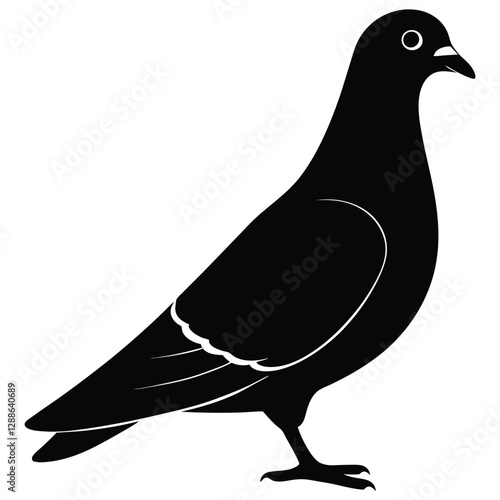 Pigeon vector shilhouette bundle Set Collection