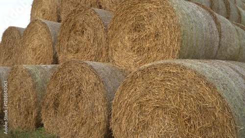 A close-up view of multiple round straw bales stacked in an orderly formation. The textured surface of dry golden hay contrasts with the tightly wrapped protective netting.