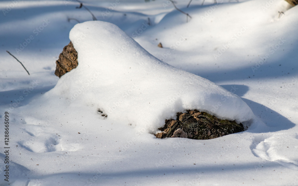 A log covered in snow sits on the ground A log covered in snow sits on the ground