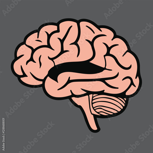 vector illustration of human brain